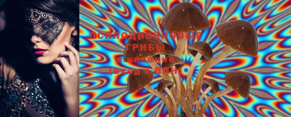 MDMA Новозыбков